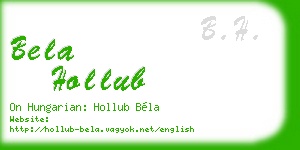 bela hollub business card